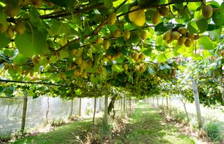 457 Whatitiri Road, Poroti