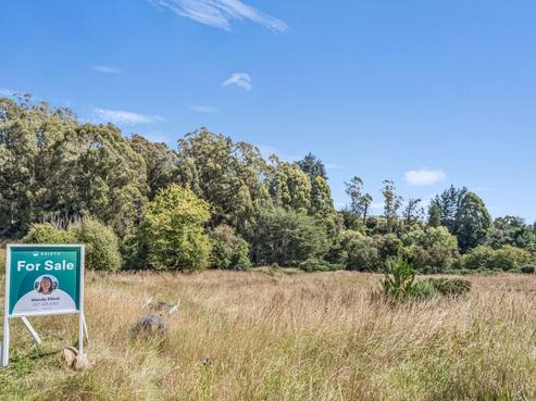 2705 Waikouaiti-Waitati Road, Warrington