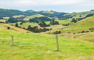 48 Heathfield Road, Greta Valley