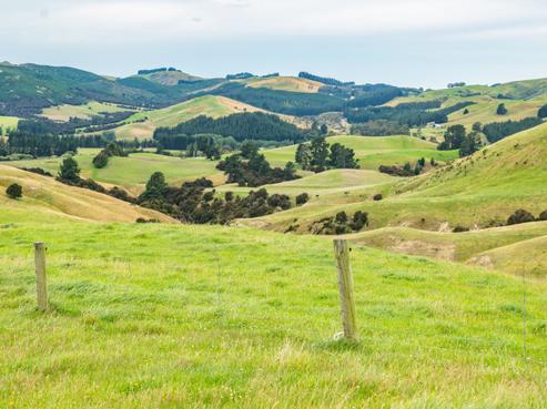 48 Heathfield Road, Waipara