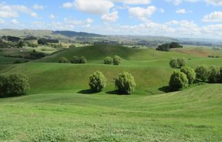 153 Homewood Road, Waipawa