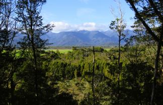 5/1290 Tanglefern Row, Charleston