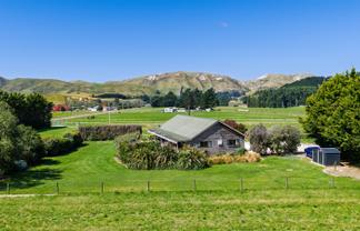 36 Seddon Street, Ward