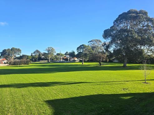 8D Taurima Avenue, Point England