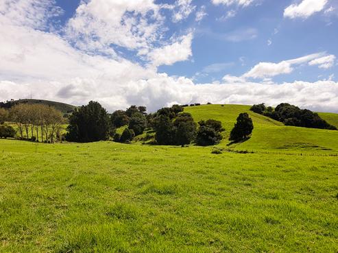 144 Remuera Settlement Road, Ohaeawai