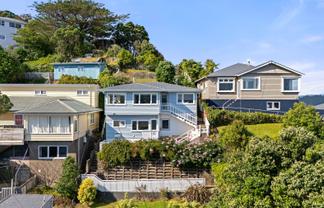 100 Rakau Road, Hataitai