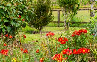 4317 State Highway 12, Dargaville