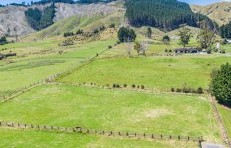 51 Gladstone Road, Levin
