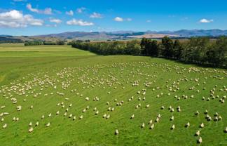 109 Affleck Road, Castle Downs