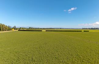 638 Telegraph Road, Charing Cross