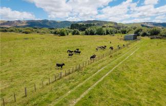  Broomfield Road, Woodville
