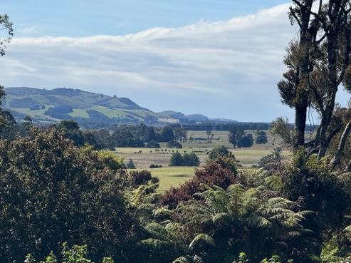 427 Harrington Mill Road, Catlins Surrounds