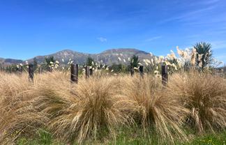 16 Soper Street, Athol