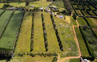 107C Kapiro Road, Kerikeri
