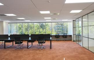 Modern Office, Central Auckland