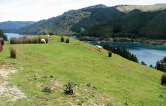  Cissy Bay Road, Cissy Bay, French Pass