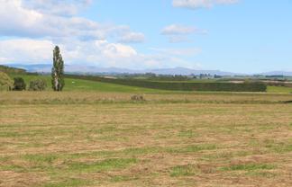  Rosewill Valley Road, Rosewill