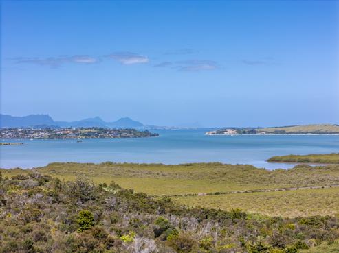 123 Toetoe Road, Otaika