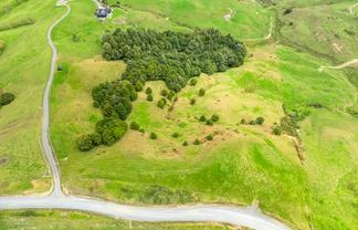 Hayward Road, Maungakaramea