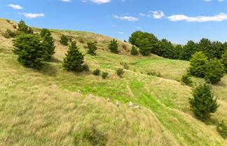  Hayward Road, Maungakaramea