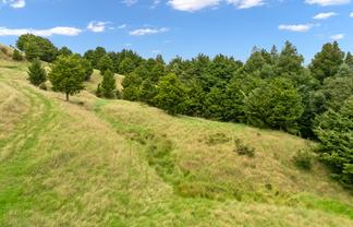  Hayward Road, Maungakaramea