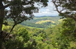 180 Noakes Hill Road, Puhoi