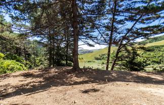 851 Makara Road, Makara