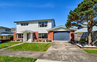 17 Rembrandt Avenue, Tawa