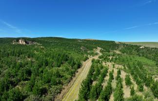  Waitahuna Gully Road, Waitahuna Gully