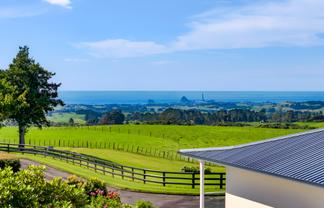 911 Plymouth Road, Koru