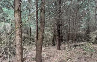  Breakneck Road, Herbert