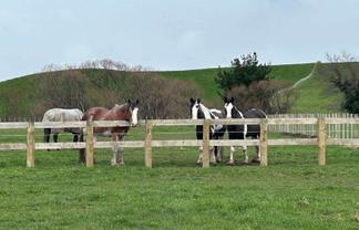 19 Black Road, Ashley Clinton