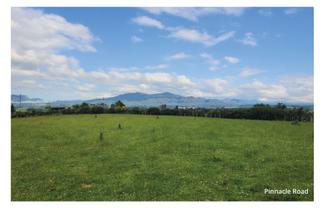 4x Lots Chittock Road and Pinnacle Road, Gore