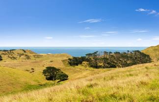 Rehutai Road, Dargaville Surrounds