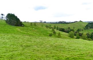  Williamson Road, Wellsford