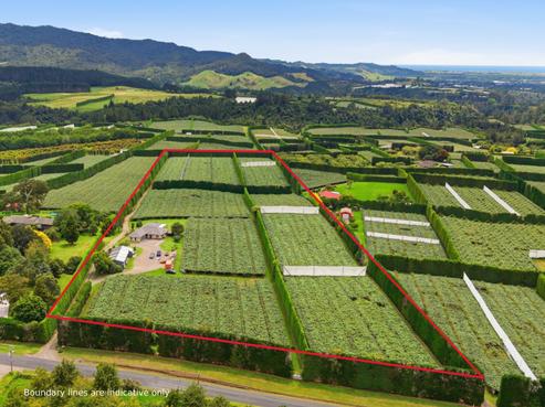 840 No 3 Road, Te Puke