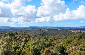 452 Moir Hill Road, Warkworth