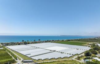  Thurley Place, Bay View