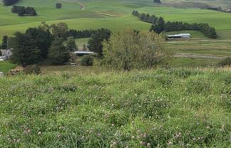 22 Tokarahi-Duntroon Road, Tokarahi