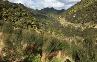 540 Lakes Road, Mangawhio, Waitotara