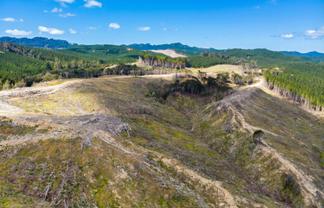Lot 2 Kaiwhata Road, Te Wharau