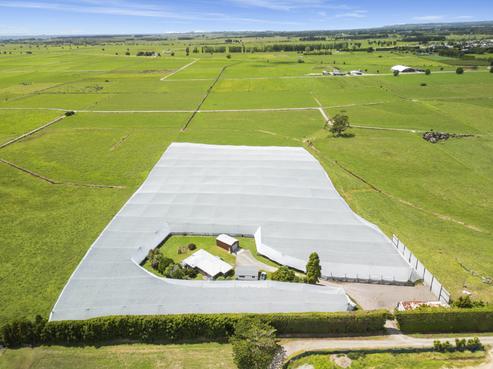 20 Ronalds Lane, Te Puke