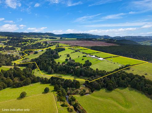 729 Puhipuhi Road, Whakapara