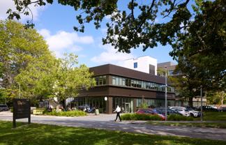 Premium light-filled workspace at Blue Mountains