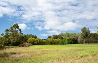 325 Sandspit Road, Warkworth