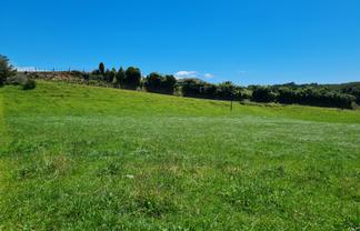 0n Lincoln Road, Inglewood