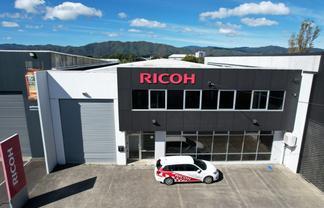 Modern High‑Stud Petone Opportunity