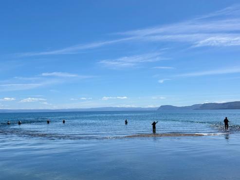 22 Peehi Manini Road, Waitahanui