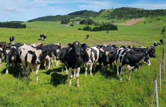 2000 Hillfoot Road, Warepa