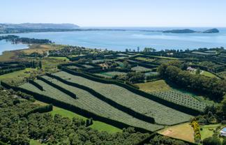 215 Ongare Point Road, Tahawai